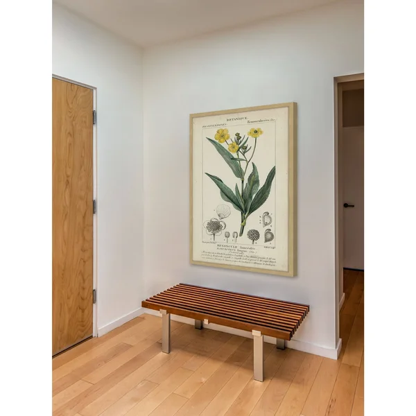 Marmont Hill Inc Botanique Study in Yellow III' Framed Painting Print, 16 x 24