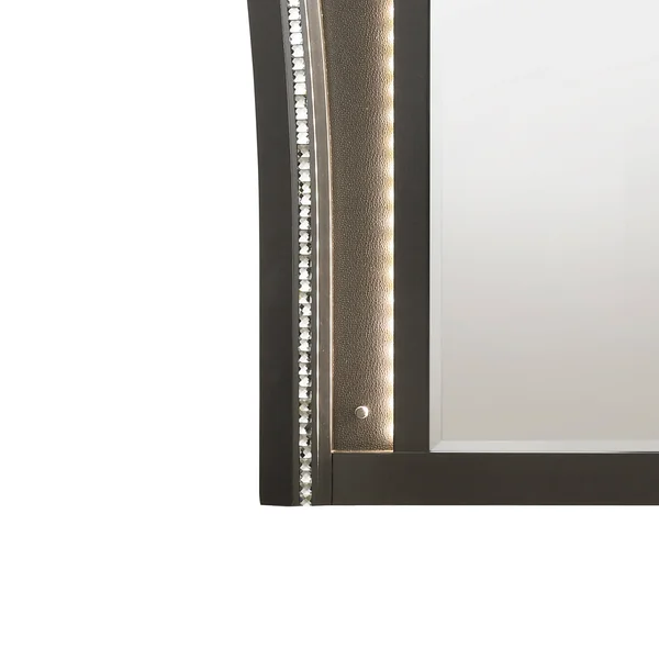 Contemporary Style Wooden Decorative Mirror with LED Lights, Gray