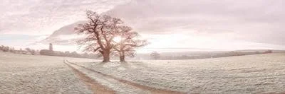 Assaf Frank Canvas Art Prints - Soft Sunrise art)
