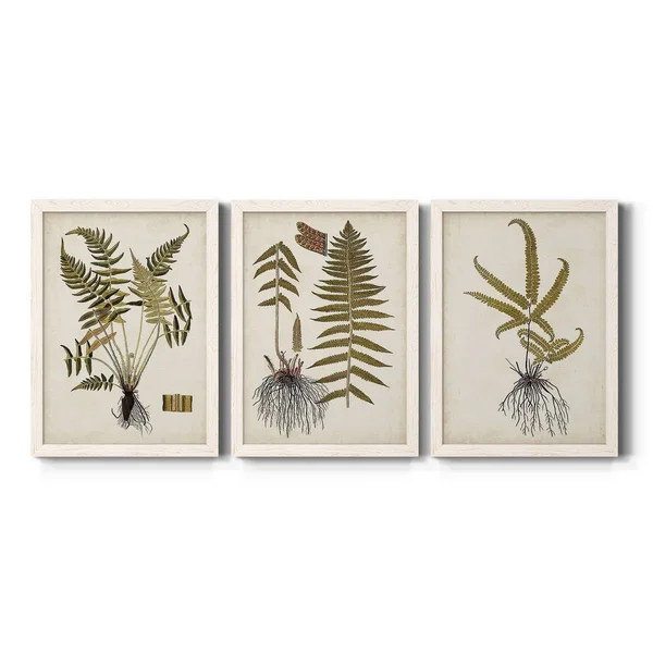 Fern Botanical IV-Premium Framed Canvas - Ready to Hang - Multi-Color - 23.5X31.5 - White