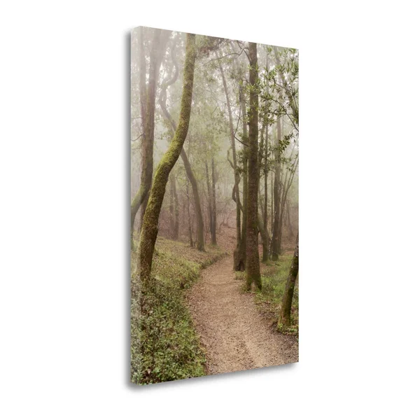 Oak Tree - 22 by Alan Blaustein - 26x22 x 40x22 Fine Art Giclee Print on