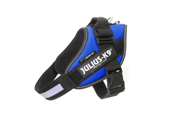 Julius-K9 IDC Powerharness Dog Harness, Blue, Size 2