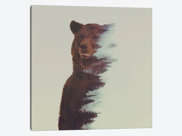 Andreas Lie Paintings Canvas Art Prints - Bear in The Woods ( Floral & Botanical > Tree Art > Pine Trees art)