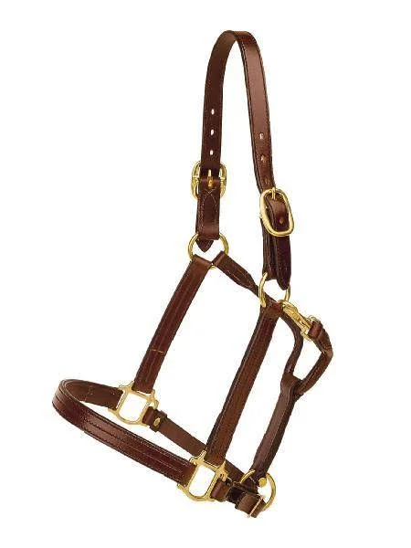 Tory Leather Triple Stitched Halter - Snap & Brass Hardware, Black