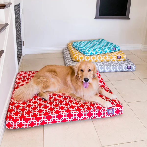 Majestic Pet 78899551236 Teal Links Small Orthopedic Memory Foam Rectangle Dog Bed