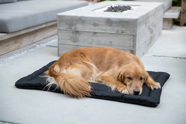 Tough Crate Pad, K9 Ballistics, Chew Resistant and More, Black, Small (29x22x18x22)