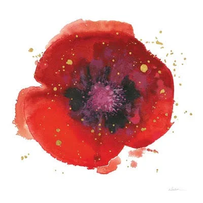Framed Canvas Art - Splash V by Shirley Novak ( Floral & Botanical > Flowers > Poppies art)