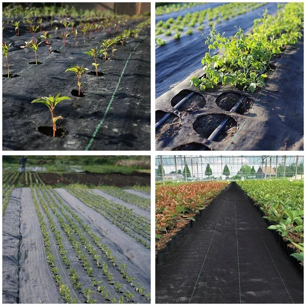 Yescom 4ft x 250ft Landscape Fabric 2.95oz Weed Barrier Woven PP with UV Treated Block Mat Ground Cover Outdoor Garden