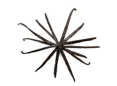 Vanilla Bean Whole - 4 oz - Organic - Mountain Rose Herbs
