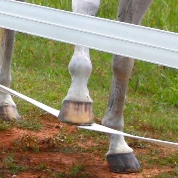 CenFlex Flexible Horse Fence Rail - 330 ft. Roll, Black