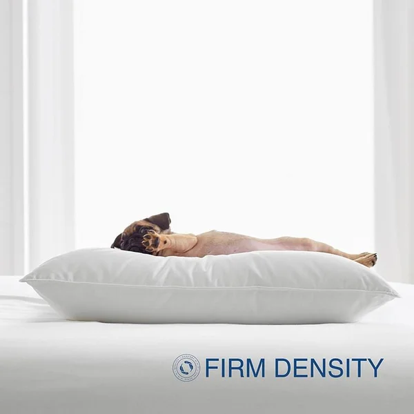 The Company Store Organic Natural Firm Down Queen Pillow