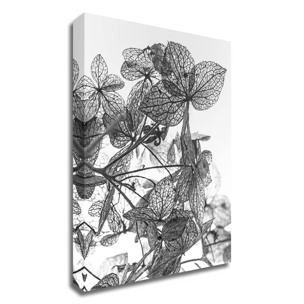 42x22 x 30x22 Leaf Composition by Design Fabrikken Print on Canvas