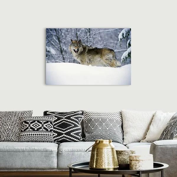 Gray Wolf in Snow - Montana, Canvas Wall Art, 48x32, Great Big Canvas