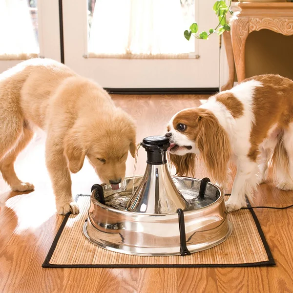Drinkwell 360 Pet Fountain - Stainless Steel PetSafe