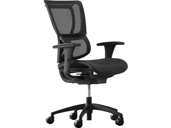 Staples Professional Series 1500TF Mesh Back Chair - Black