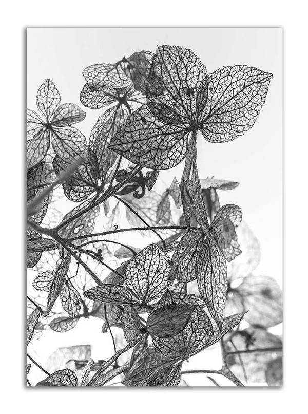 42x22 x 30x22 Leaf Composition by Design Fabrikken Print on Canvas
