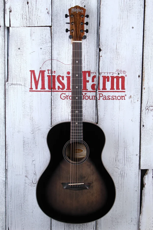 Washburn Bella Tono Novo S9 Charcoal Burst