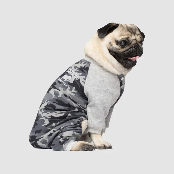 Canada Pooch Frosty Fleece Sweatsuit - Pink - Vendor