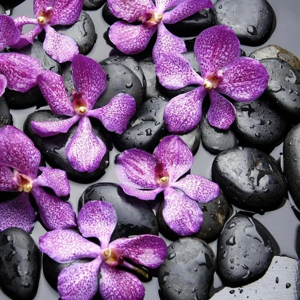 Easy Art Prints PhotoINC Studio's 'Zen Pebbles' Premium Canvas Art (24 x 24)