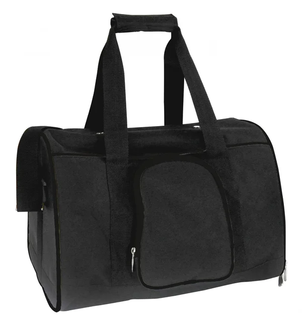 Minnesota Vikings NFL 16x22 Premium Pet Carrier