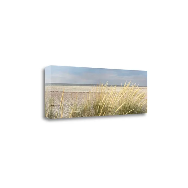 Tangletown Fine Art Island Sand Dunes by Alan Blaustein - Giclee Print on Wrap Canvas, 39x13x22