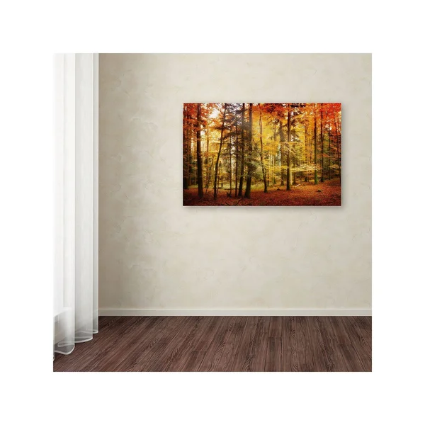 Trademark Fine Art Philippe Sainte-Laudy &Brilliant Fall Color& Canvas Art