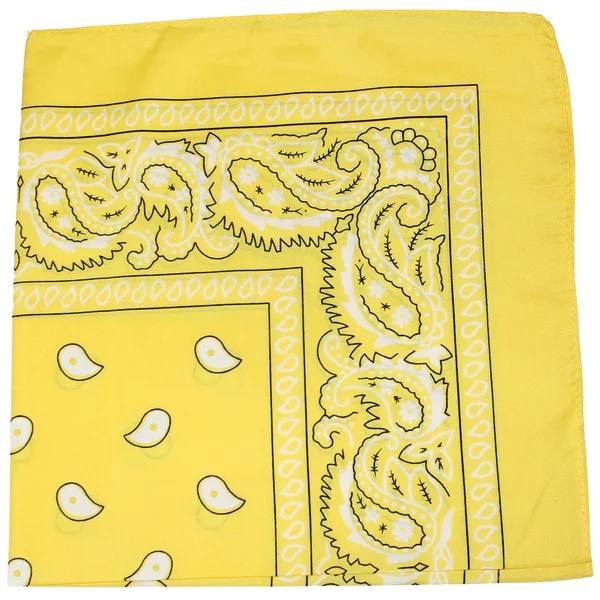 Mechaly Paisley 100% Polyester Unisex Bandanas - 75 Pack - Bulk Wholesale, Yellow