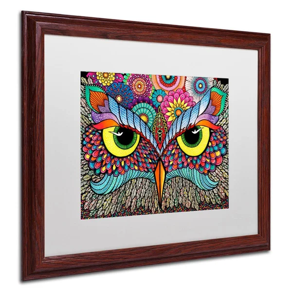 Trademark Fine Art Owl Face by Hello Angel, White Matte, Wood Frame 16x20-Inch, Assorted