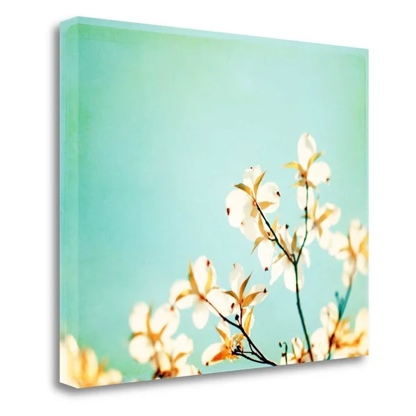 Tangletown Fine Art Blossoms Adrift Canvas Wall Art by Carolyn Cochrane