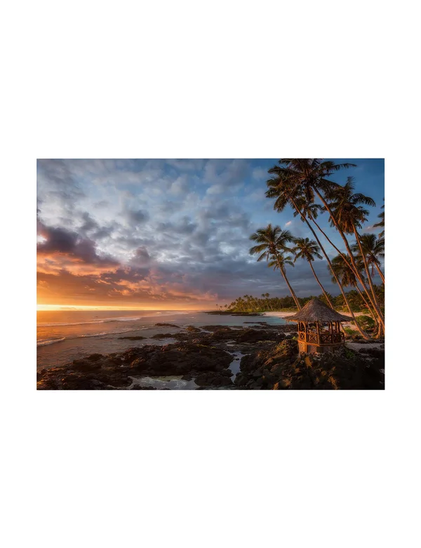 Trademark Fine Art Richard Vandewalle &Return to Paradise& Canvas Art 16x22 x 24x22 Multi-Color