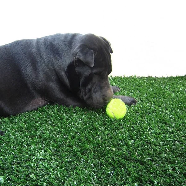 EnvyPet Green Premium Pet Turf Mat 3& x 4&