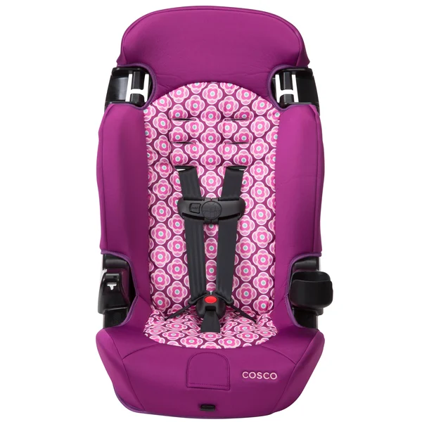 Cosco Finale 2-in-1 Booster Car Seat - Rosette