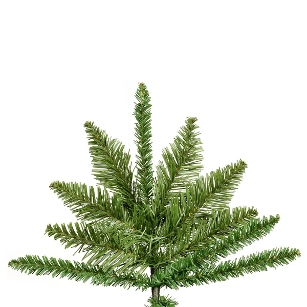 Vickerman Unlit 6.5& x 49x22 Durango Spruce Artificial Christmas Tree