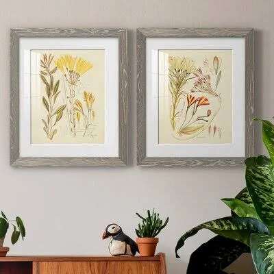 Antique Botanical Sketch IVPremium Framed Print - Ready to Hang August Grove Format: White Framed Paper - Matte Color: White, Siz
