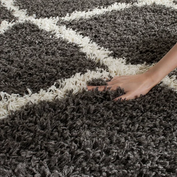 Safavieh Dallas Shag SGD257A Dark Grey/Ivory 8& x 10& Area Rug