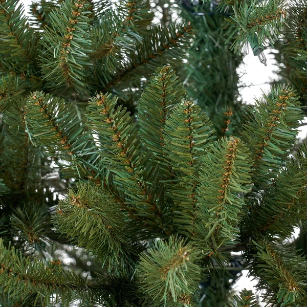 7' Pre-Lit Full Norway Spruce Artificial Christmas Tree - Clear Lights