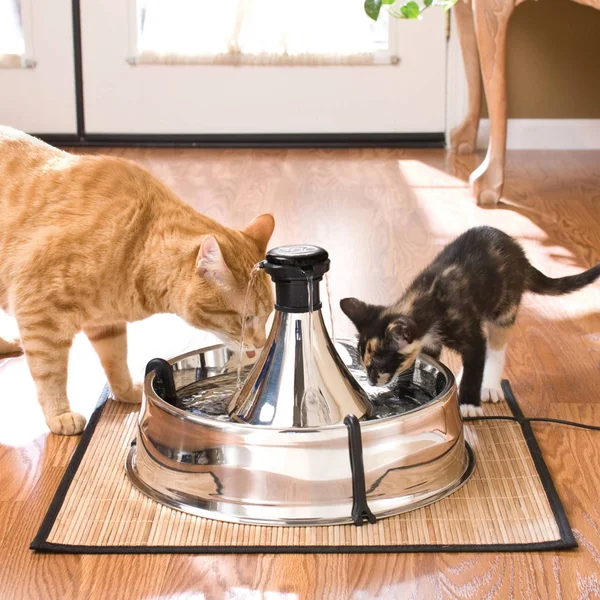 Drinkwell 360 Pet Fountain - Stainless Steel PetSafe