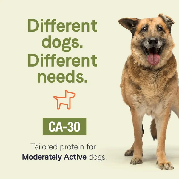 Canidae CA-30 Real Turkey - Peas & Carrots Recipe Dry Dog Food - 25-lb