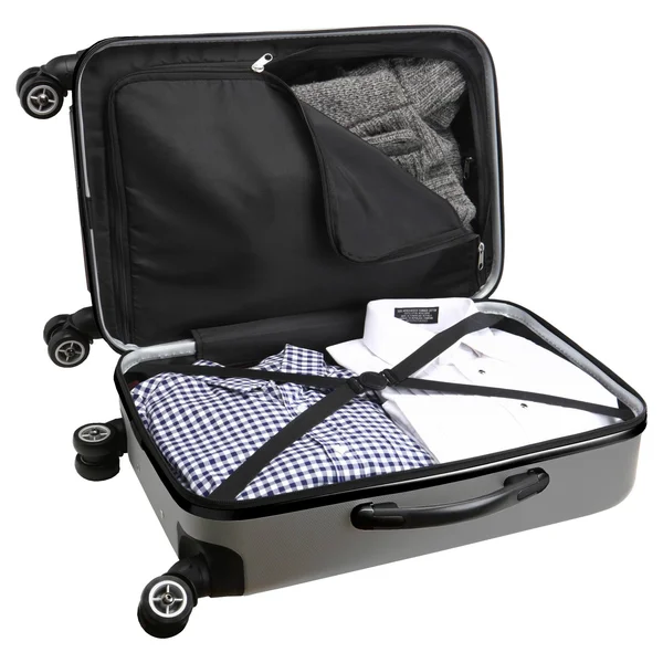NBA Sacramento Kings Carry-On Hardcase Spinner - Silver