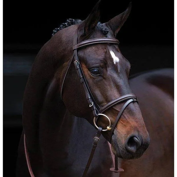 Amigo Bridle with Flash & Rubber Reins, Standard Horse, Black