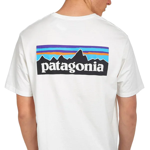 Patagonia Men's P-6 Logo Organic T-Shirt White, XXL