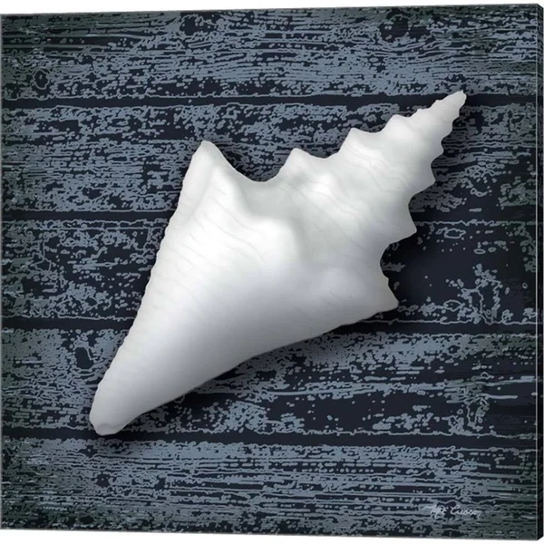 Great Art Now Seashore Shells Navy by Marie-Elaine Cusson 3 Piece Canvas Art Set Each 14W x 14H - Size: 14 x 14, White