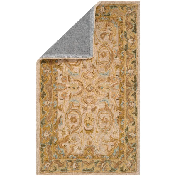 Safavieh AN576B Anatolia Area Rug, Ivory, Brown: 8-ft x 10-ft