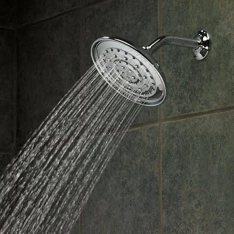 Moen 21007 Chrome Vitalize Rainshower Shower Head Only - Silver