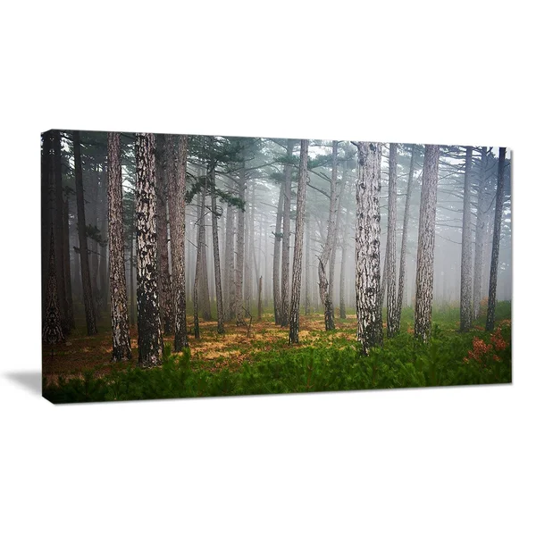 Designart 'Dense Misty Forest' 4 Piece Photographic Print on Wrapped Canvas Set
