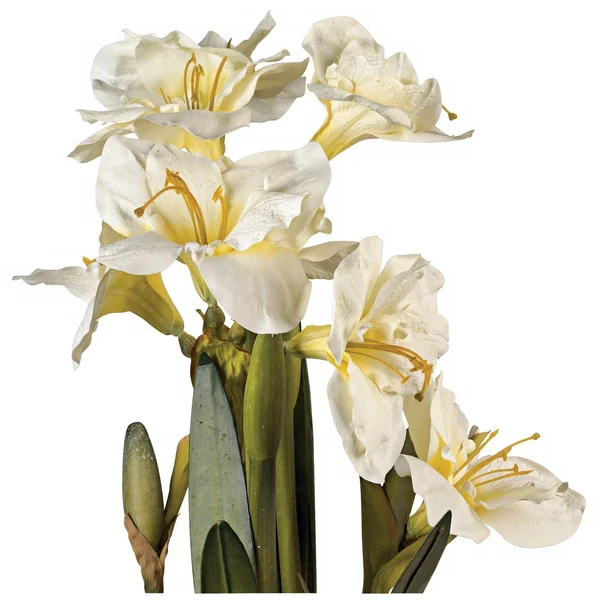 Kensington Hill White Amaryllis 25x22 High Faux Flower Arrangement