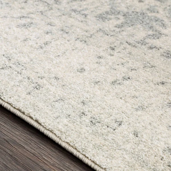 2.5' x 10.25' Distressed Beige Rectangular Area Throw Rug Runner