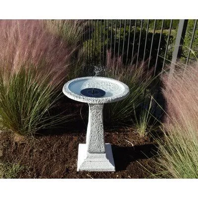 Aseem Solar Birdbath Red Barrel Studio